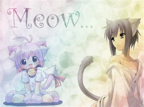 neko meow meow